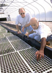 Kevin Brown (right), NRCS Area Conservationist, and President, Coastal & Native Plant Specialties, Inc., discuss the cycle of propagating wild sea oats. The sea oats are used for beach erosion control projects around the country. [