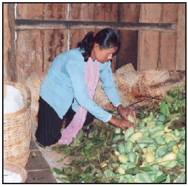 Lorn Khoeun?s food selling business is supported by community members.