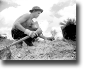 this September 1941 image shows a Civilian Conservation Corps enrollee planting tree seedlings in South Carolina — National Archives negative no. 114G 10,392-1 (NRCS image -- click to enlarge).