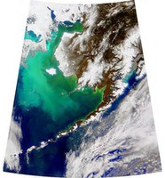 SeaWiFS - Bering Sea