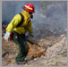 Firefighter using driptorch to ignite fire in rocky, sloped area.