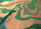aerial view of contour plowing