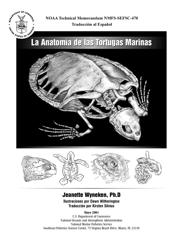 La Anatomia de las Tortugas Marinas