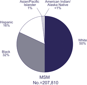 MSM; No. = 207,810

White: 50%
Black: 32%
Hispanic: 16%
Asian/Pacific Islander: 1%
American Indian/Alaska Native: <1%
