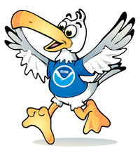 Salty the NOAA Bird