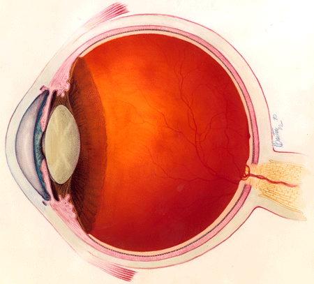 Eye diagram.