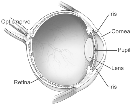 Eye diagram (black and white).