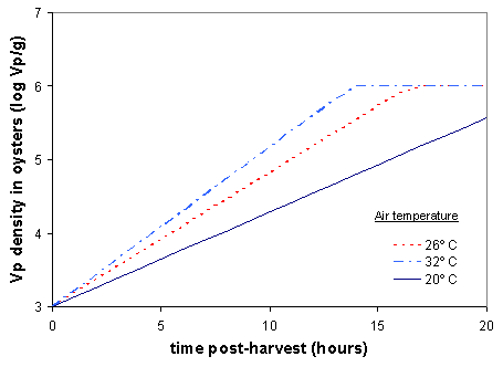 graph: time post-harvest (hours) on X-axis, Vp density in oysters (log Vp/g) on Y-axis.  3 lines, 1 each for 26, 32 and 20 degrees C air temperature
