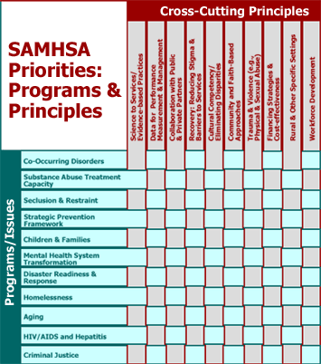 SAMHSA&apos;s programs and issues cross referenced by priority and principle
