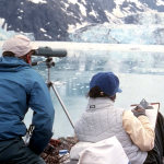 Researchers count harbor seals on icebergs.
