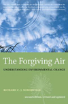 The Forgiving Air Cover