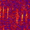 Alaska humpback whale spectrogram