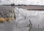 flooded cropland in Iowa -- EWP assists with implementation of critical emergency measures to relieve imminent hazards to life and property created by natural disasters -- measures must be environmentally and economically sound and generally benefit more than one property owner  (NRCS image)