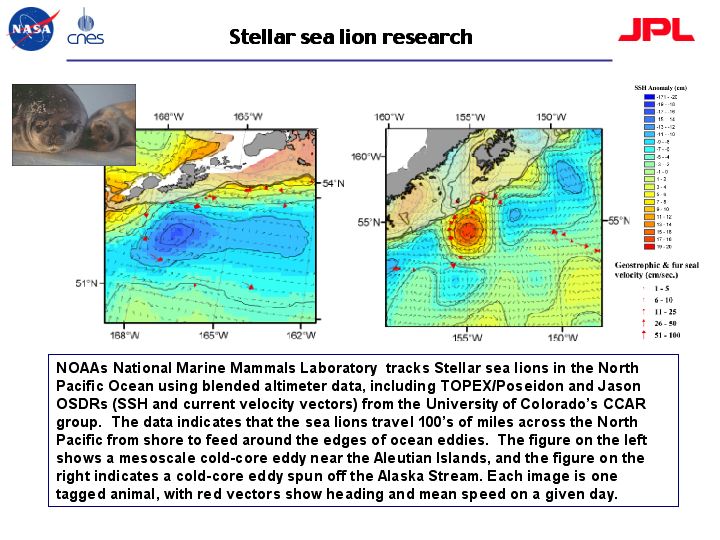 Societal Benefits - Stellar sea lion research