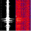 seismic spectrogram