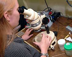 A University of Washington graduate student examines plankton under a microscope.