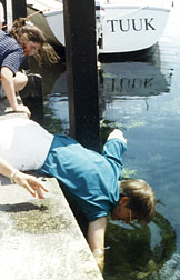 teachers find out how abundant zebra mussels are in Lake Michigan