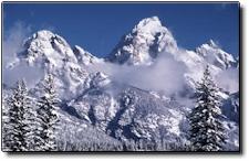 Photo of the Grand Tetons covered in snow in front of a clear blue sky.