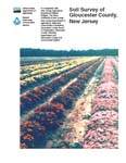 cover of soil survey report for Glouster County, New Jersey