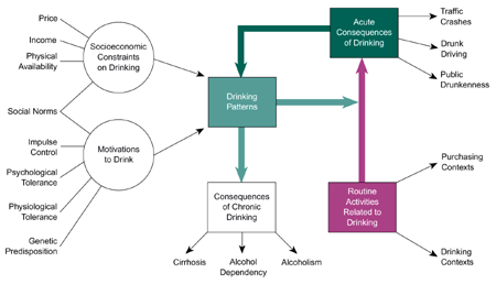 An ecological model of drinking behavior