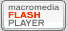 Macromedia Flash Player