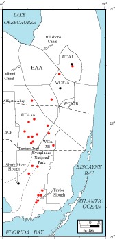 map showing location of tree islands sampled