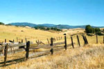 california pastureland in summer
