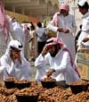 Saudi customers buy dates at Unayzah market around 400 km north of Riyadh, Saudi Arabia, on Aug.31, 2008, a day before the start of the holy Muslim fasting month of Ramadan. [© AP Images