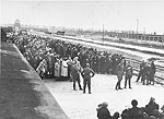 Hungarian Jews line up for selection at Auschwitz-Birkenau in May, 1944.  Discuss the systematic nature of the steps leading the “Final Solution” and the procedures used.