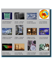 Screenshot of images within the program Adobe Bridge