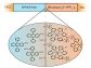 organic semiconductor junction