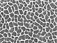 electron microscope image showing polyurethane nanofibers creating a honeycomb formation 
