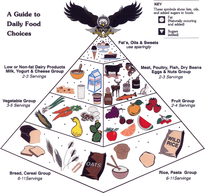 food guide pyramid image