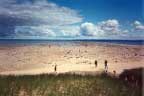 Expansive Lake Michigan beach is the result of low lake water levels in recent years.