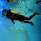 Scuba divers observe and collect data that helps us protect coral reefs.   