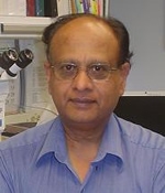 photo of Ashok Kulkarni