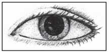 Imagen de un ojo con la pupila dilatada