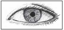 Imagen de un ojo con la pupila contraída