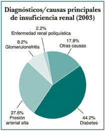 Tabla grafica mostrando las causas principales de la insuficiencia renal en el ano 2003. En estos constan de mayor a menor: La diabetes, la presión arterial alta, otras causas, la glomerulonefritis y la enfermedad renal poliquistica