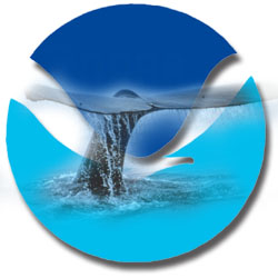 NOAA logo with whale tail