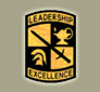 U.S. Army Cadet Command -  Leadership / Excellence insignia