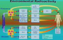 Link to environmental radioactivity