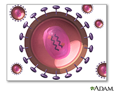 Illustration of the human immunodeficiency virus