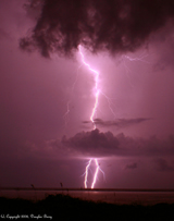 lightning in dark pink  night sky with clouds