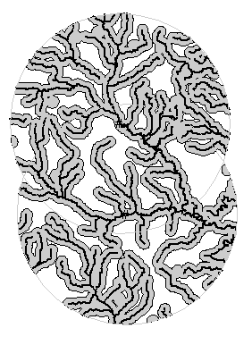 Image: Fig. 10 - GIS-derived open water habitat polygons, as described above