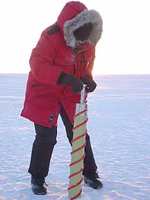 Jody Deming removes a core sample of super-frigid Arctic sea ice