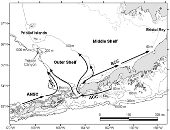 study area map