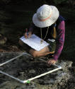 Jessie Altstatt is pictured sampling a turf algae photoplot.