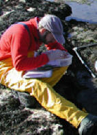 MINT team member Maurice Hill is pictured collecting data at a central California site in 1998.