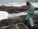 Steve Lee (UCLA) takes notes in mussel plots at an LA site